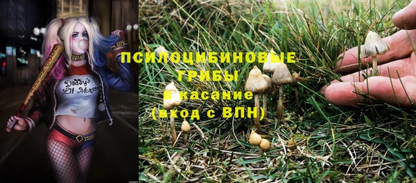 кокс Баксан