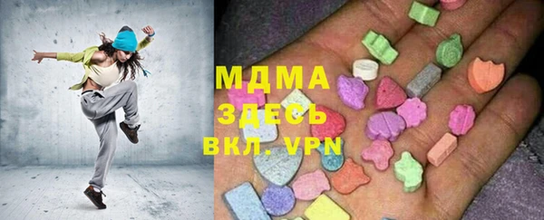 гидра Гусев