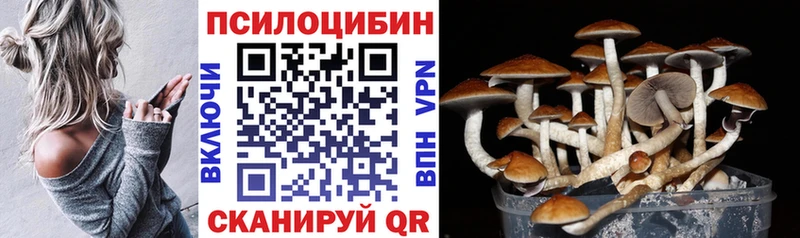 Псилоцибиновые грибы прущие грибы  магазин продажи   Бородино 